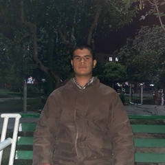 Mohamad Shbazi, 24 года, Tehran