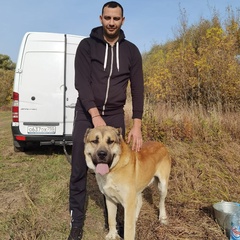 Александр Влах, 32 года, Москва