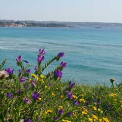 Анастасия Дьяченко, Siracusa