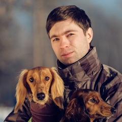 Артём Сапегин, 40 лет, Berlin