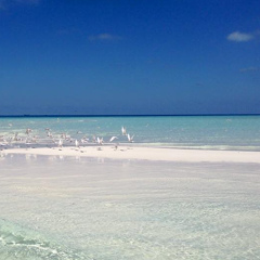 Ahmed Haphyx-Maldives, Malé