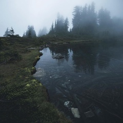 Шамиль Абдулаев, 22 года, Liberec