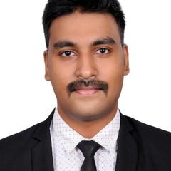 Sreejith B S, 29 лет