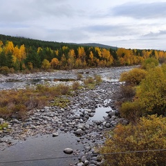 Алёна Божаткина, Санкт-Петербург