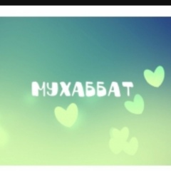 Muhabbat Muabbat, Шымкент