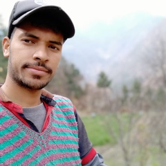 Vikesh Kaushal, 26 лет, Shimla