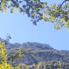 Владос Неважно, 21 год, Cannes