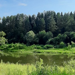 Александр Старков, Мураши