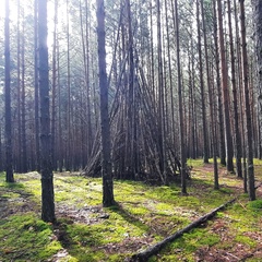 Антон Васильев, Томск