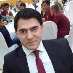 Nesar Haideri, 39 лет, Kabul