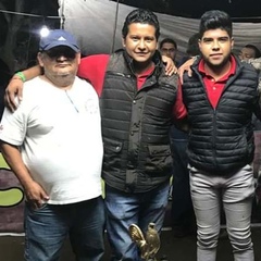 David González-Reyes, 35 лет, Chilpancingo de los Bravos