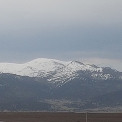 Neco Neco, 47 лет, Ankara