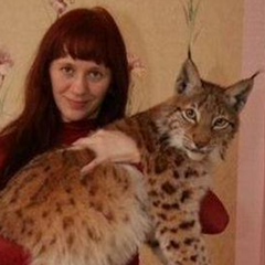 Galochka Nikitin, 34 года, Норильск