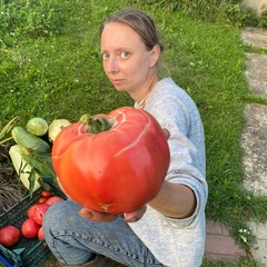 Александра Януцевич, 38 лет, Москва