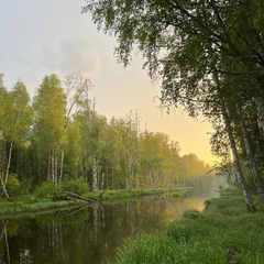 Илья Андреев, Санкт-Петербург