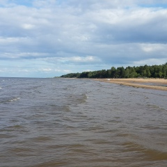 Сергей Шамрин, Санкт-Петербург