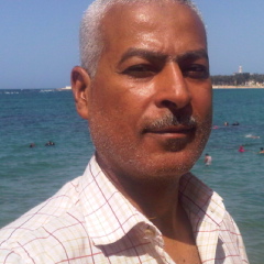 Mohamed Hamed, Alexandria