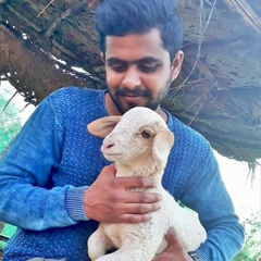 Pavan Kumar, 34 года, Mysore