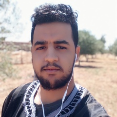 Ahmed El-Hajhouj, 29 лет