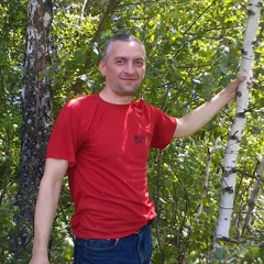 Александр Голиков, 51 год, Липецк