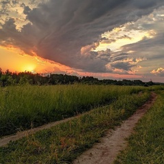 Марина Перевозчикова