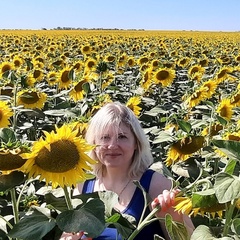 Надежда Алексеева, 48 лет, Гатчина