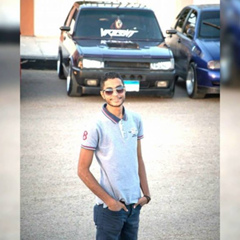 Mohamed Gaber, 29 лет, Sohag