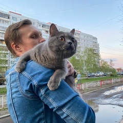 Павел Самойлов, Архангельск