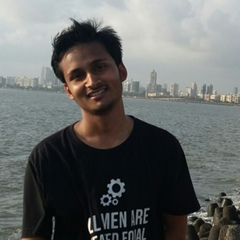 Vivek Kumar, 27 лет, New Delhi