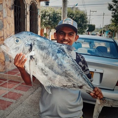 Pedro Ortega, 42 года, El Cesar