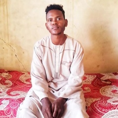 Mohammed Hussain, 28 лет, Omdurman