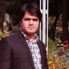 Zabiullah Azizi, 30 лет, Kabul