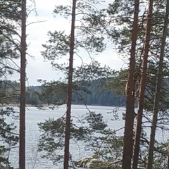 Сергей Буслаев, Санкт-Петербург