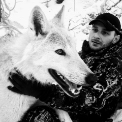 Антон Бокарев, 38 лет, Москва