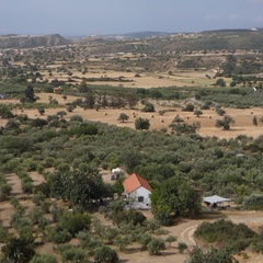 Людмила Викулова, Санкт-Петербург