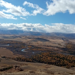 Александр Матвиенко, Новосибирск