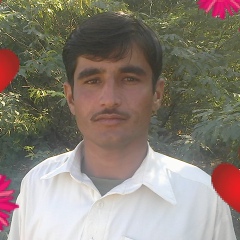 Syed-Abrar Shah