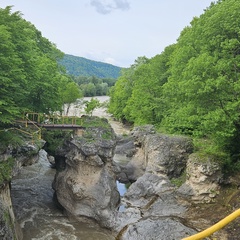 Ольга Сусоева, Краснодар