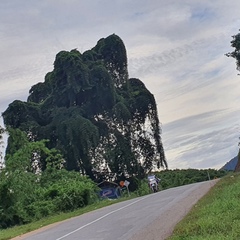 Thar Gyi, 35 лет, Myeik