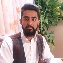 Dr-Najibullah Rasuliar, 33 года, Herat