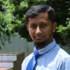 Smm Rasel Hasan, 31 год, Khulna