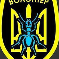 Володя Волоцюга, 33 года, Львов