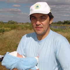 Анатолий Успанов, 67 лет, Оренбург