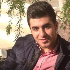 Ahmed Smail, 32 года, İstanbul