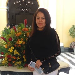 Karen-Noelia Bringas-Pérez, 46 лет, Trujillo