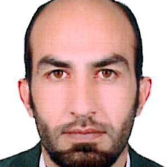 Shahen Afridi, 38 лет, Peshawar