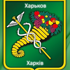 Александр Сиденко, 38 лет, Харьков