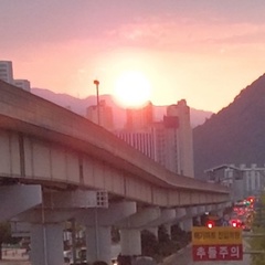 Samandar Sodiqjonov, 19 лет, Busan