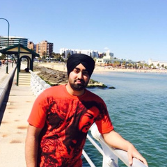 Preet Zaildar, 33 года, Jalandhar