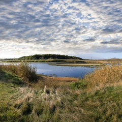 Александр Конуров